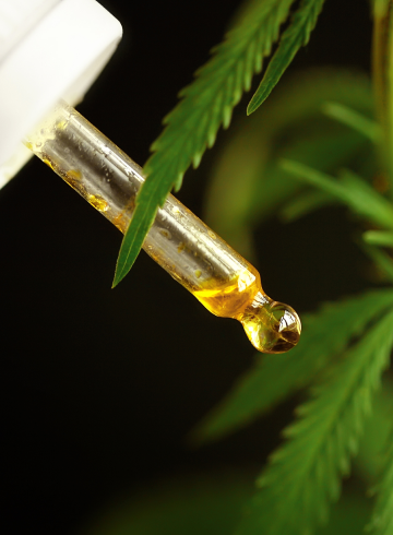 Cannabis extracts are concentrated forms of the plant's active compounds, such as cannabinoids and terpenes, that are extracted using various methods.  <br><br><a href="https://cannabaska.com/product-category/extract/" class="myButton">Shop Now</a>