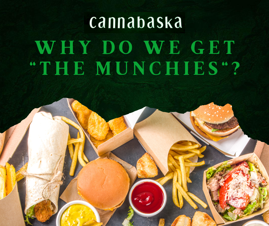 Why do we get “the munchies”?
