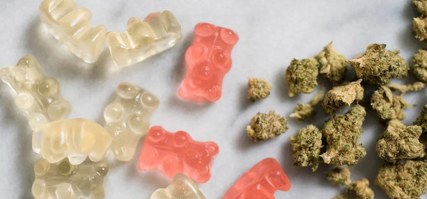 what you must know about CBD edibles